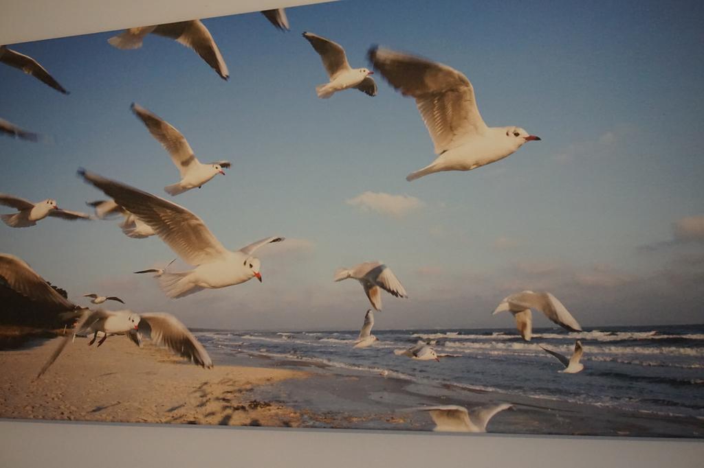 Apartamenty I Domki Osinscy Braniewo Buitenkant foto